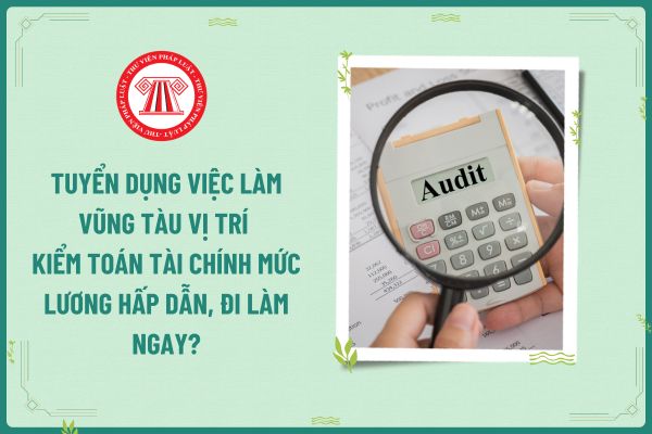 Tuyển dụng việc làm Vũng Tàu vị trí Kiểm toán tài chính mức lương hấp dẫn, đi làm ngay?