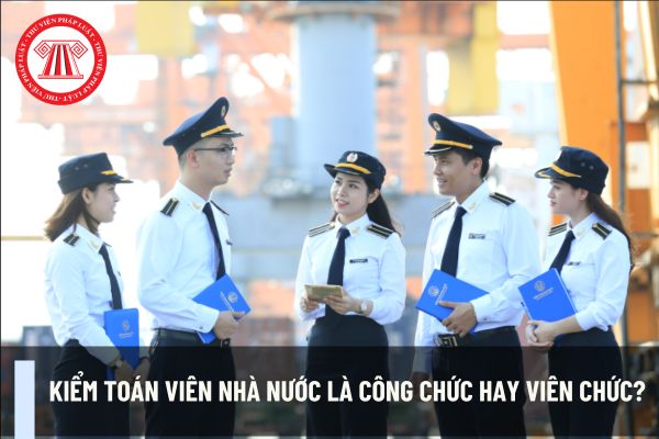 Kiểm toán viên nhà nước là công chức hay viên chức?