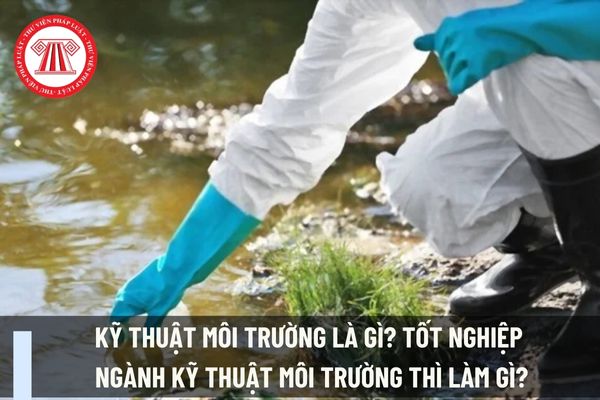 Kỹ thuật môi trường là gì? Tốt nghiệp ngành kỹ thuật môi trường thì làm gì?