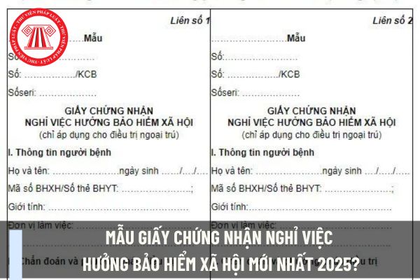 Mẫu giấy chứng nhận nghỉ việc hưởng bảo hiểm xã hội mới nhất 2025? Cấp giấy chứng nhận nghỉ việc hưởng bảo hiểm xã hội phải đáp ứng những yêu cầu nào?