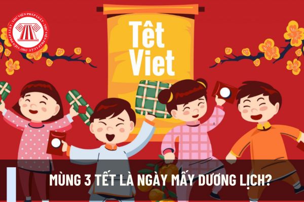 Mùng 3 Tết là ngày mấy Dương lịch? Mùng 3 Tết doanh nghiệp kinh doanh bảo hiểm có nộp thuế điện tử tại nhà được không? 