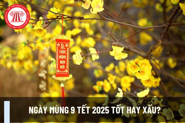 Ngày mùng 9 Tết 2025 tốt hay xấu? Người làm ăn kinh doanh có nên khai trương vào ngày mùng 9 Tết 2025 không?