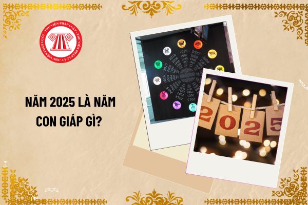 Năm 2025 là năm con giáp gì? Người lao động là quản lý nhân sự làm việc theo hợp đồng được nghỉ các ngày lễ, tết nào trong năm 2025?