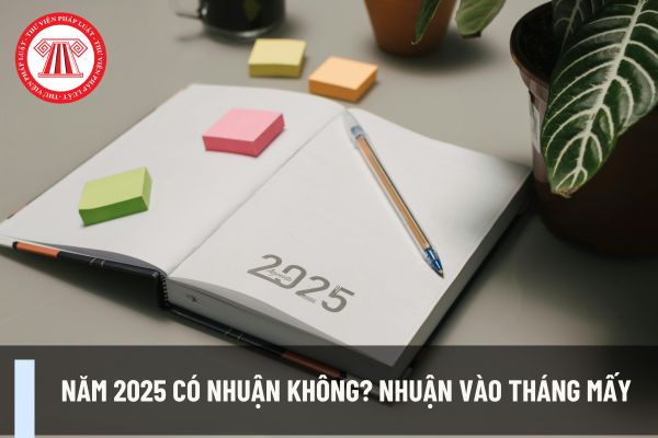 Năm 2025 có nhuận không? Nhuận vào tháng mấy? Người lao động là kế toán được nghỉ các ngày lễ, tết nào trong năm 2025?