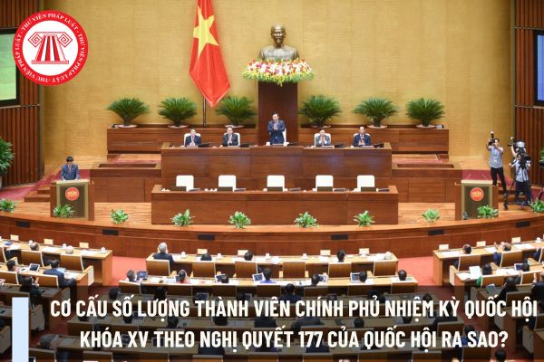 Cơ cấu số lượng thành viên Chính phủ nhiệm kỳ Quốc hội khóa XV theo Nghị quyết 177 của Quốc hội ra sao?