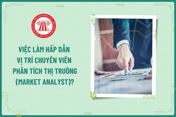 Việc làm hấp dẫn vị trí Chuyên viên Phân tích Thị trường (Market Analyst)?