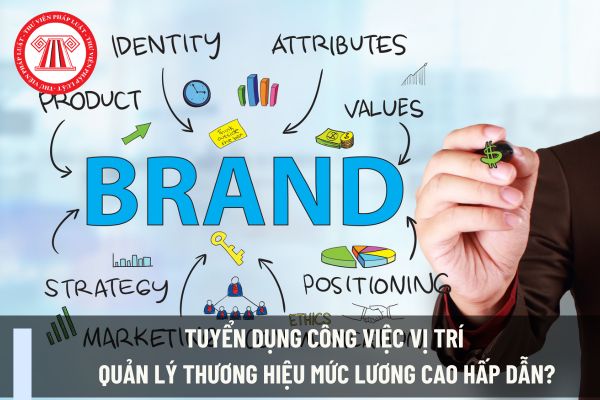 Tuyển dụng công việc vị trí quản lý thương hiệu mức lương cao hấp dẫn?