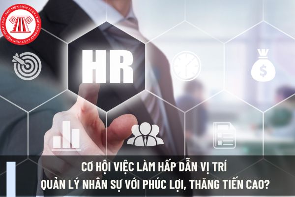 Cơ hội việc làm hấp dẫn vị trí quản lý nhân sự với phúc lợi, thăng tiến cao?