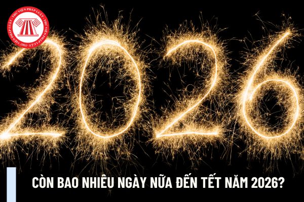 Còn bao nhiêu ngày nữa đến Tết năm 2026? Kinh doanh pháo hoa có phải ngành nghề kinh doanh có điều kiện về an ninh, trật tự không?