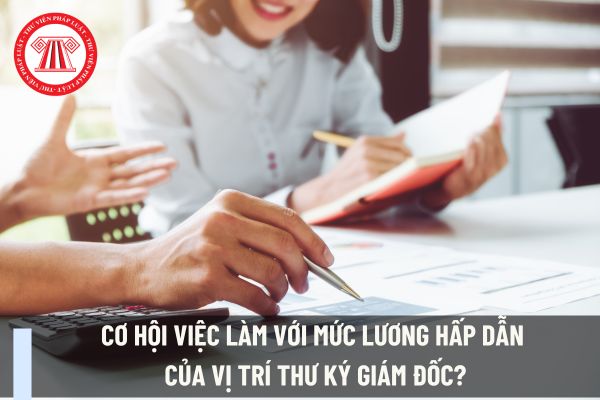 Cơ hội việc làm với mức lương hấp dẫn của vị trí Thư Ký Giám Đốc?