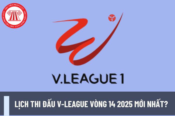 Lịch thi đấu V-League vòng 14 2025 mới nhất? Cầu thủ đội tuyển quốc gia Việt Nam có phải đóng thuế thu nhập cá nhân không?