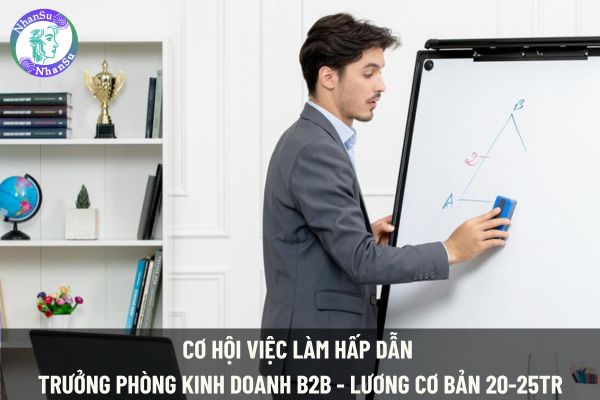 Cơ hội việc làm hấp dẫn Trưởng Phòng Kinh Doanh B2B - Lương cơ bản 20-25Tr tại Công ty TNHH Thương Mại Rồng Phương Bắc?