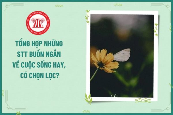 Tổng hợp những Cap hay, STT buồn ngắn về cuộc sống hay, có chọn lọc? Quy tắc ứng xử của nhà báo trên mạng xã hội thế nào?