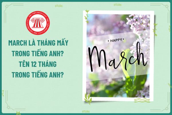 March là tháng mấy trong tiếng Anh? Tên 12 tháng trong tiếng Anh? Trình độ đạt chuẩn được đào tạo của Giáo viên dạy Tiếng Anh tại trường THCS là gì?