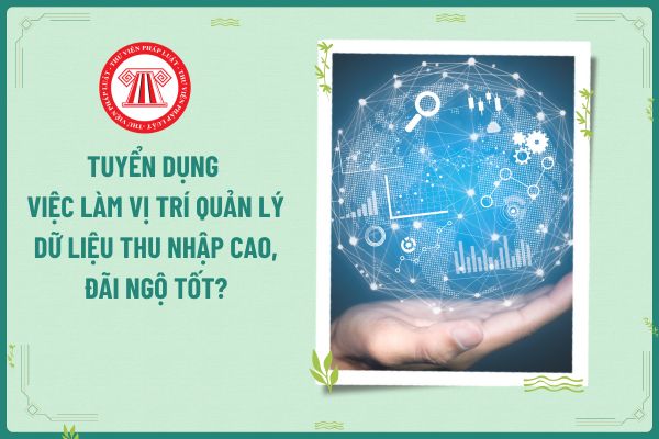Tuyển dụng việc làm vị trí Quản lý Dữ liệu thu nhập cao, đãi ngộ tốt?