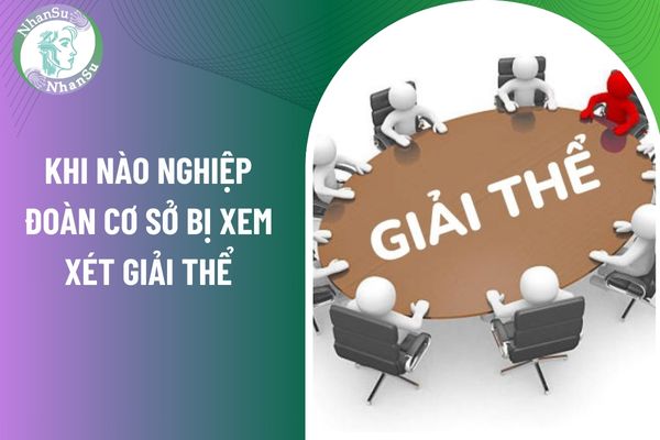 Bị xem xét giải thể, chấm dứt hoạt động nghiệp đoàn cơ sở khi nào?