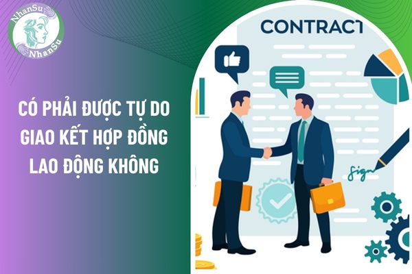 Có phải được tự do giao kết hợp đồng lao động không?