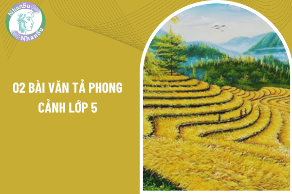 02 bài văn tả phong cảnh lớp 5? Hệ số lương của giáo viên các cấp hiện nay như thế nào?