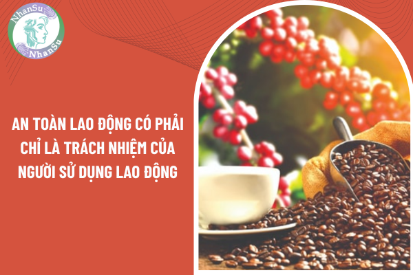 Chuỗi cung ứng cà phê bao gồm những yếu tố nào?