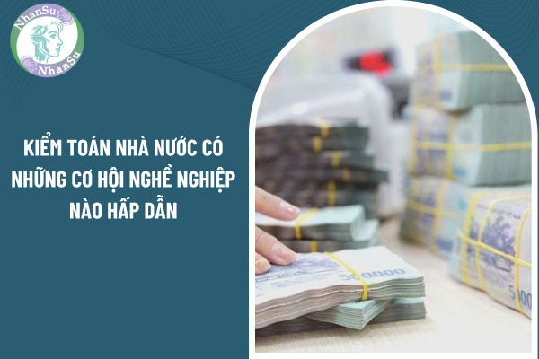 Kiểm toán nhà nước có những cơ hội nghề nghiệp nào hấp dẫn?