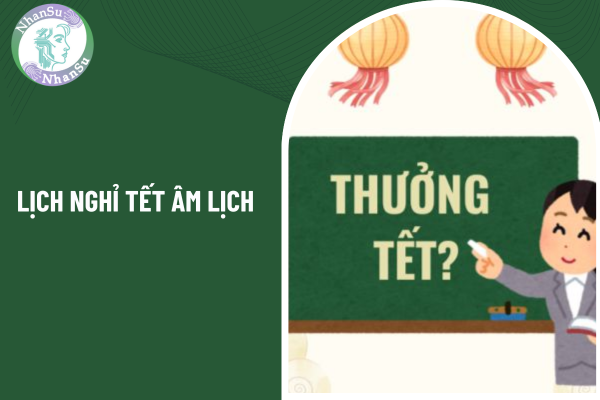 Cách tính tiền thưởng Tết giáo viên là viên chức theo Nghị định 73? Bảng lương của giáo viên hiện nay thay đổi như thế nào? 