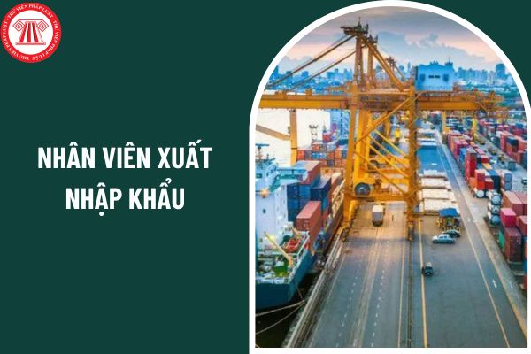 Nhân viên xuất nhập khẩu làm những công việc gì? Những kỹ năng cần thiết của một nhân viên xuất nhập khẩu bao gồm những gì?