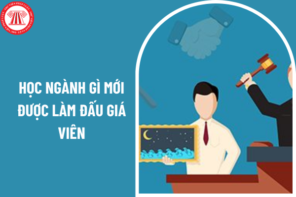 Muốn làm đấu giá viên từ năm 2025 cần học ngành gì?