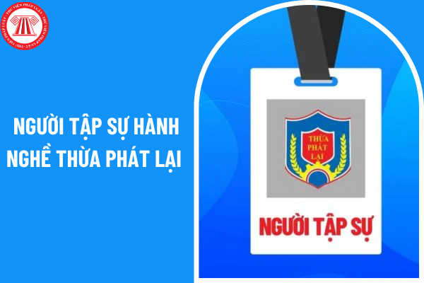 Người tập sự hành nghề Thừa phát lại có phải báo cáo kết quả tập sự hành nghề Thừa phát lại không?