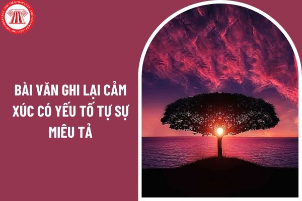 03 mẫu bài văn ghi lại cảm xúc có yếu tố tự sự miêu tả? Trách nhiệm của giáo viên bộ môn Ngữ văn trong đánh giá học sinh lớp 7?