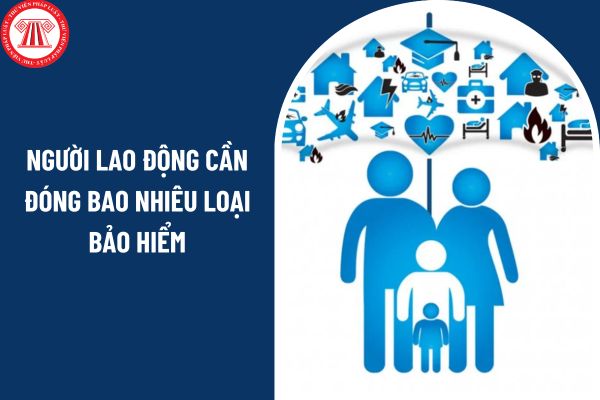 Khi đi làm người lao động cần đóng bao nhiêu loại bảo hiểm? 