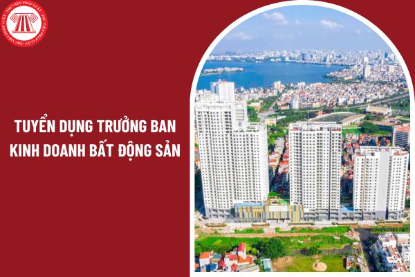 Tuyển dụng Trưởng Ban kinh doanh bất động sản với mức lương và đãi ngộ hấp dẫn