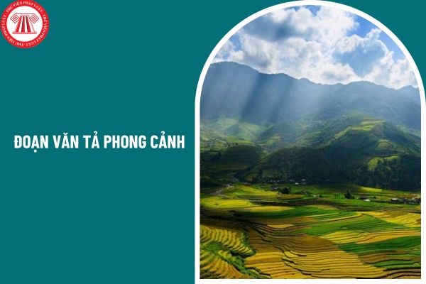 04 mẫu đoạn văn tả phong cảnh ngắn gọn? Tiêu chuẩn đạo đức nhà giáo của giáo viên lớp 7 như thế nào?