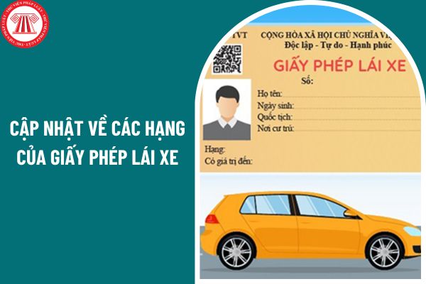 Cập nhật về các hạng của giấy phép lái xe từ năm 2025 cụ thể ra sao?