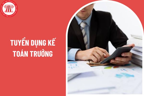 Tuyển dụng kế toán trưởng với mức lương từ 35 đến 45 triệu đi làm ngay