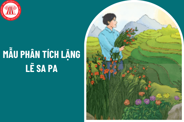 Mẫu phân tích Lặng lẽ Sa Pa hay, ngắn gọn? Giáo viên chủ nhiệm lớp 9 có trách nhiệm gì?