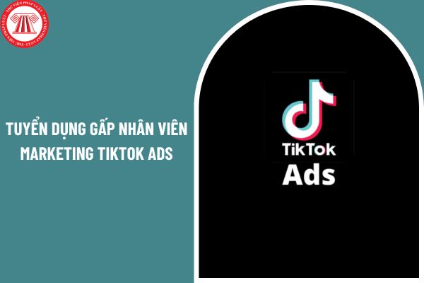 Khu vực Hà Nội đang tuyển dụng gấp nhân viên Marketing Tiktok Ads mức lương upto 15 Triệu