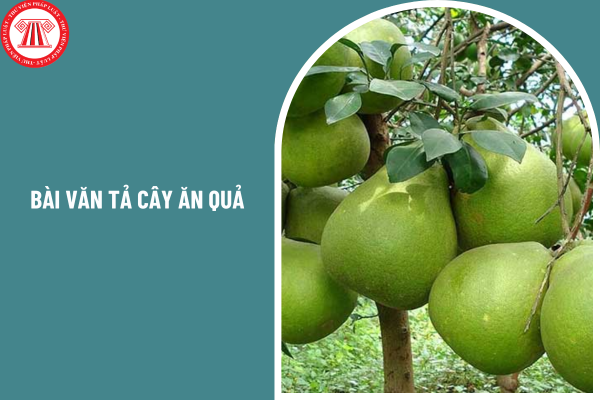 03 mẫu bài văn tả cây ăn quả? Tiêu chuẩn đạo đức nghề nghiệp của giáo viên lớp 4 gồm những gì?