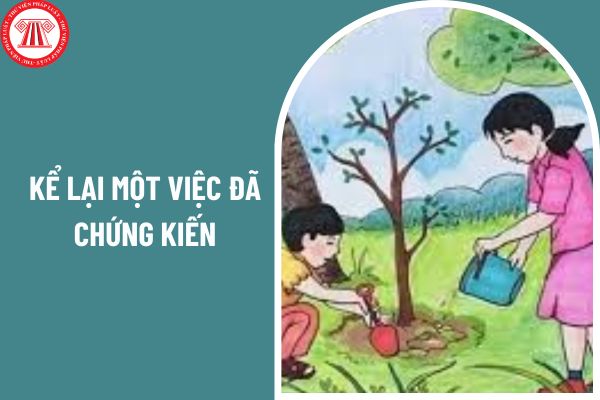 Mẫu bài văn kể lại một việc đã chứng kiến? Điều kiện dự tuyển cấp chứng chỉ nghiệp vụ sư phạm có quy định ra sao?