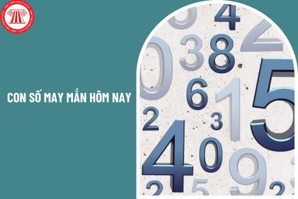 Con số may mắn hôm nay ngày 25 tháng 02 năm 2025 có những con số nào? Các con số may mắn tài lộc ngày 25 2 2025 cho 12 con giáp?