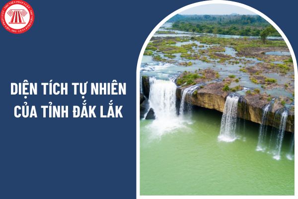 Hiện nay tỉnh Đắk Lắk có diện tích tự nhiên đứng thứ mấy cả nước? Tình hình việc làm ở tỉnh Đắk Lắk ra sao?