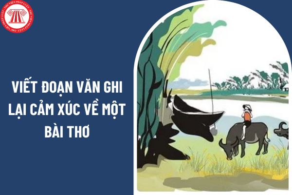 05 mẫu viết đoạn văn ghi lại cảm xúc về một bài thơ lớp 6? Giáo viên không được phép làm gì theo điều lệ trường trung học cơ sở?