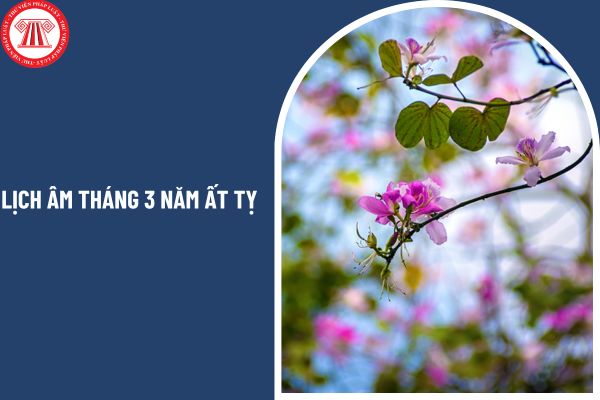 Lịch âm tháng 3 năm Ất Tỵ chi tiết ra sao? Những ngày lễ trong tháng 3 năm 2025 bao gồm những ngày nào?