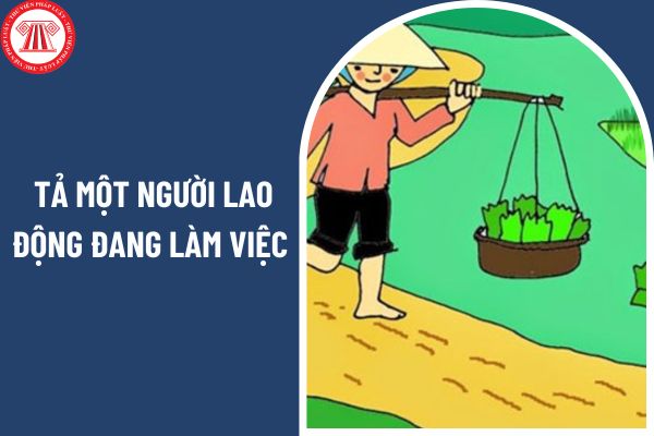 03 mẫu bài văn tả một người lao động đang làm việc? Chương trình môn tiếng Việt lớp 5 có cấu trúc ra sao?