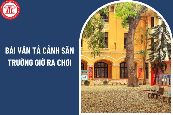 03 mẫu bài văn tả cảnh sân trường giờ ra chơi? Kiến thức văn học môn Ngữ văn lớp 6 có những nội dung gì? 