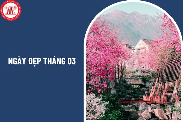 Ngày đẹp tháng 03 năm 2025 cho 12 con giáp trong công việc và tình yêu đối với người kinh doanh bất động sản ra sao? 