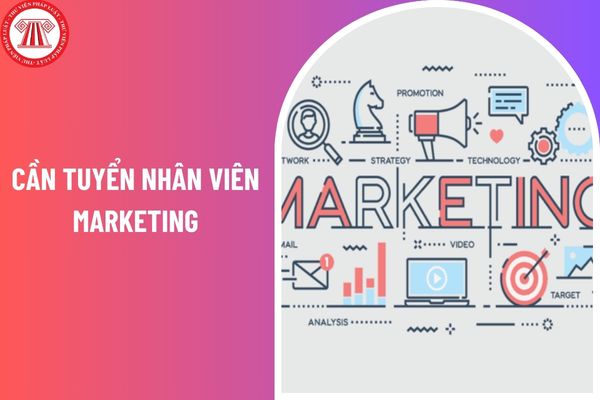 Cần tuyển nhân viên Marketing - làm việc tại Hà Nội, mức lương khởi điểm 13 triệu