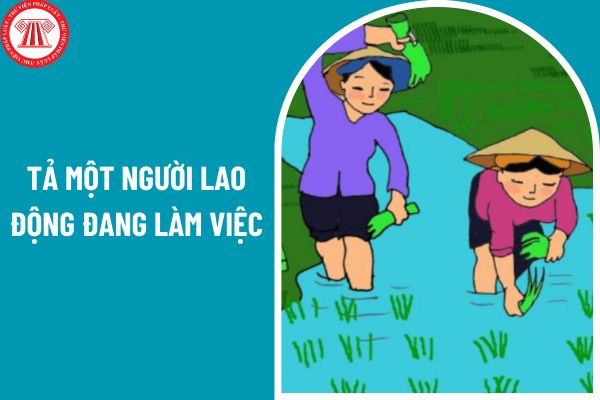 Tuyển tập những mẫu bài văn tả một người lao động đang làm việc điểm cao? Văn bản văn học lớp 5 có yêu cầu cần đạt gì về đọc mở rộng?