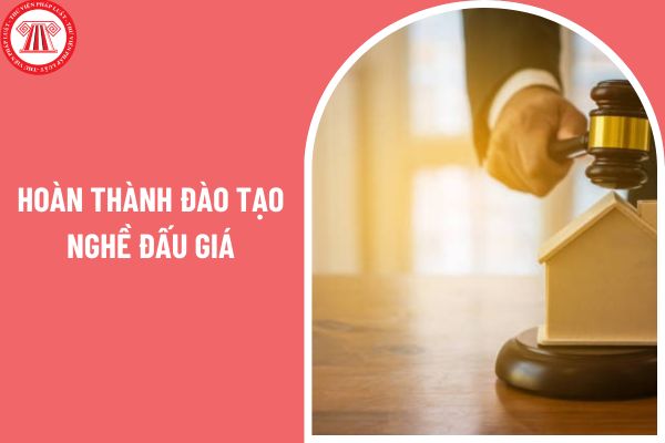 Sau khi hoàn thành đào tạo nghề đấu giá, có thể thực hiện công việc đấu giá ngay lập tức không?