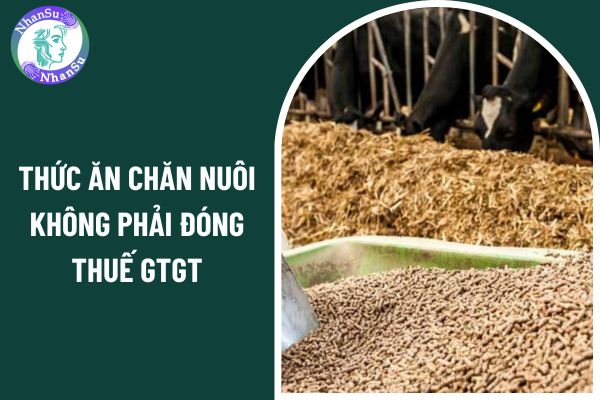 Thức ăn chăn nuôi không phải đóng thuế GTGT kể từ ngày 01 07 2025?