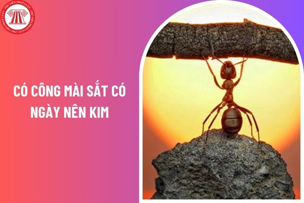 Viết bài văn nghị luận về câu tục ngữ Có công mài sắt có ngày nên kim? Vai trò của giáo viên ngữ văn lớp 7 trong quá trình đánh giá học sinh là gì?